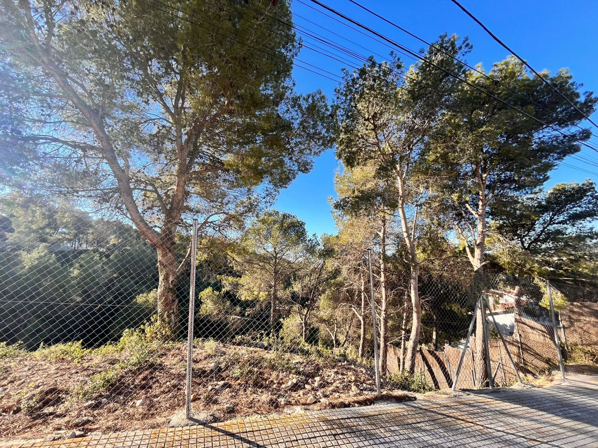 Ref. 5321/1468 – Plot in the California de Canyelles Urbanization