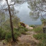 Ref. 10940/1045 - Parcela 664 mt2 con vistas en Olivella