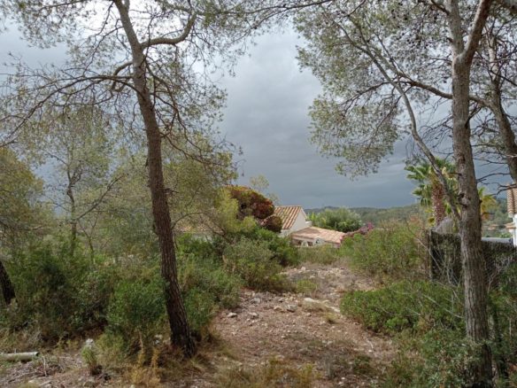 Ref. 10940/1045 - Parcela 664 mt2 con vistas en Olivella