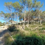 Ref. 24-7097/1296 - En entorn natural i aïllat!