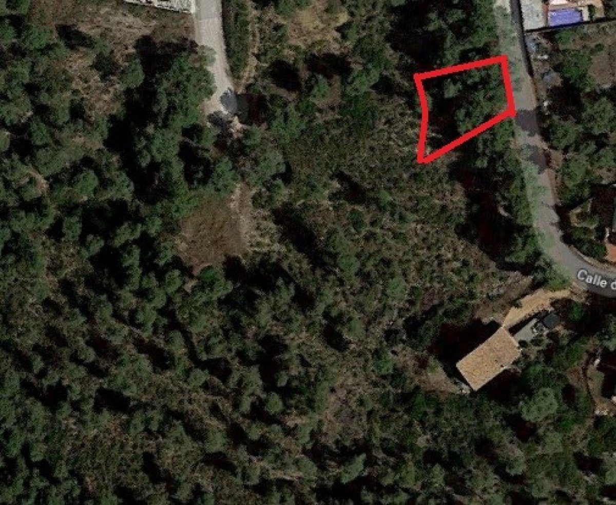 Ref. 7-ALSV0043/1088 – Parcela en Canyelles (Les Palmeres)