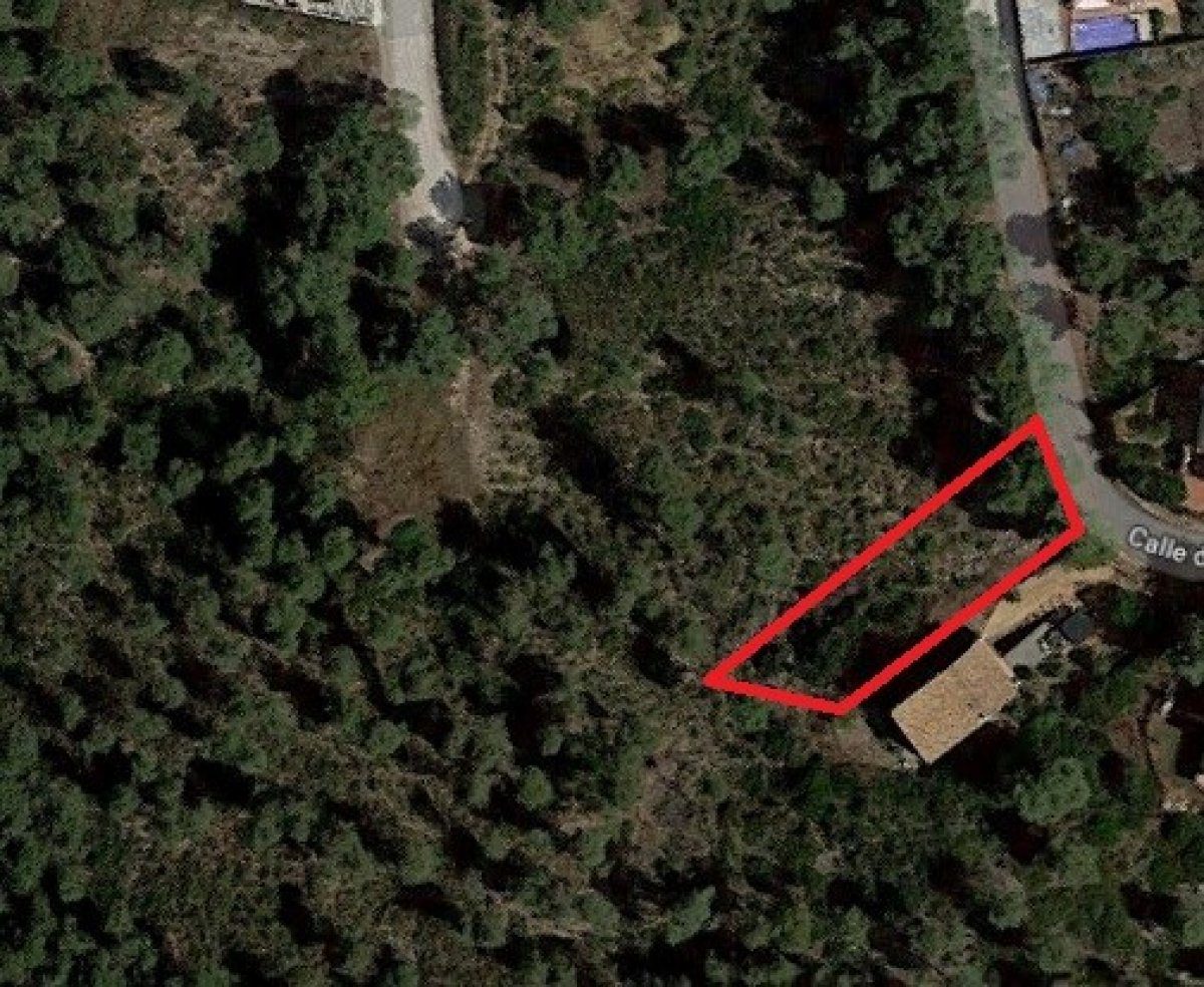 Ref. 7-ALSV0044/1088 – Parcel·la a Canyelles (Les Palmeres)