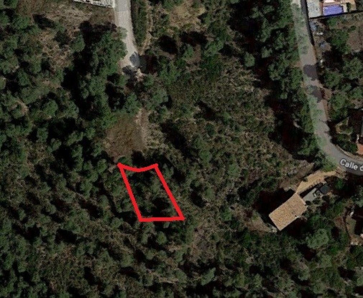 Ref. 7-ALSV0036/1088 – Parcela en Canyelles (Les Palmeres)