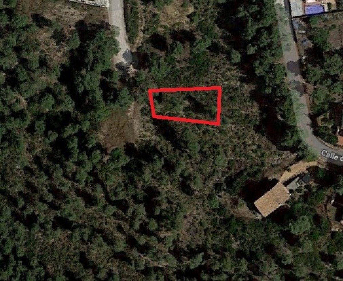 Ref. 7-ALSV0040/1088 – Parcel·la a Canyelles (Les Palmeres)