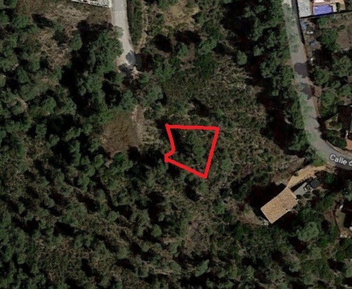 Ref. 7-ALSV0041/1088 – Plot in Canyelles (Les Palmeres)