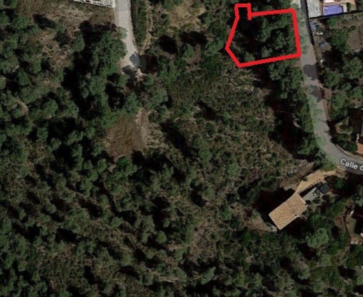 Ref. 7-ALSV0037/1088 – Plot in Canyelles (Les Palmeres)