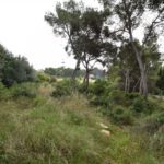 Ref. 03-40375/1098 - Plots for sale