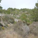 Ref. 03-50048/1098 - Finca rústica en venda