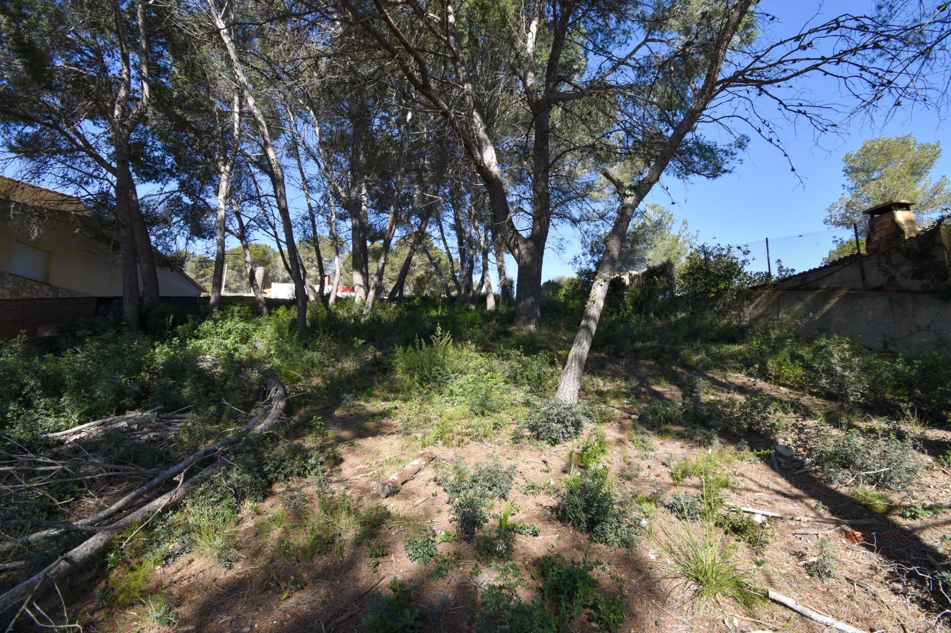 Ref. 12-TOLI56/1087 – TERRENY A LA URBANITZACIÓ LES COLINES, OLIVELLA