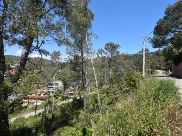 Ref. 12-TOLI62/1087 - EXCELENTE TERRENO EN MAS MESTRE, OLIVELLA