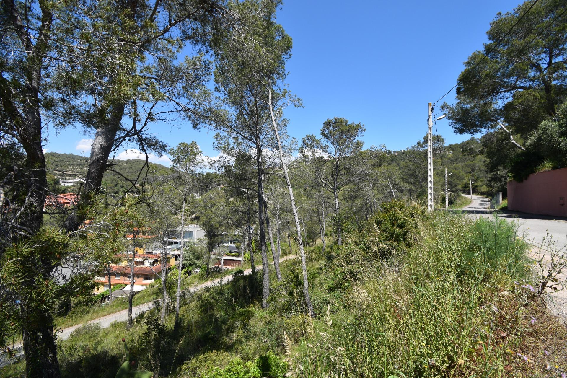 Ref. 12-TOLI62/1087 – EXCELENTE TERRENO EN MAS MESTRE, OLIVELLA