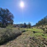 Ref. 12-TOLI53/1087 - FLAT URBAN LAND IN MAS MESTRES