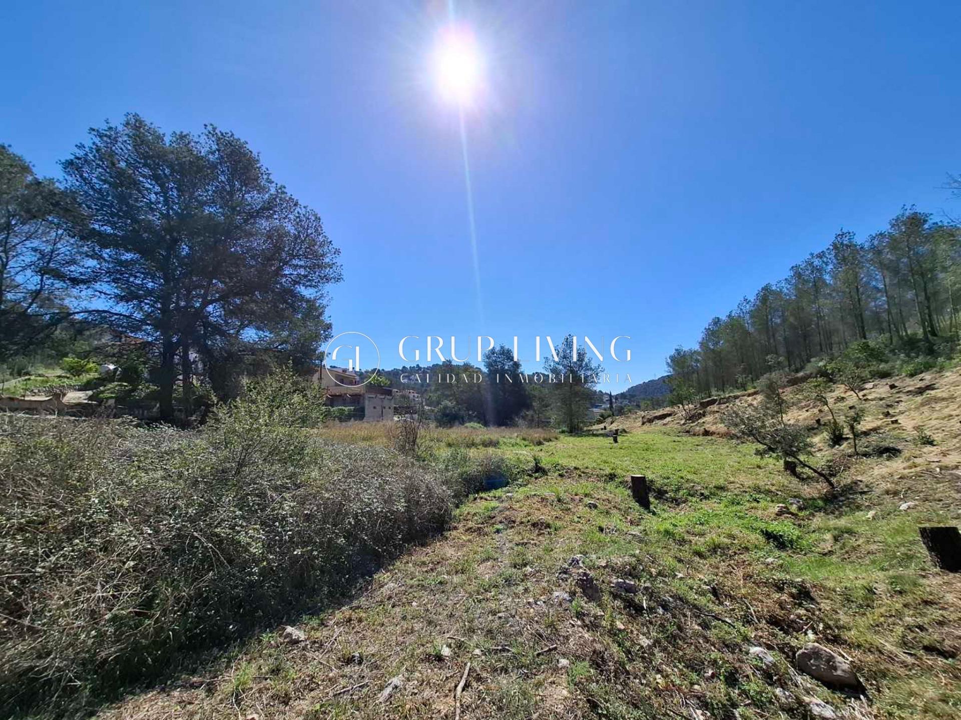 Ref. 12-TOLI53/1087 – TERRENO URBANO PLANO EN MAS MESTRES