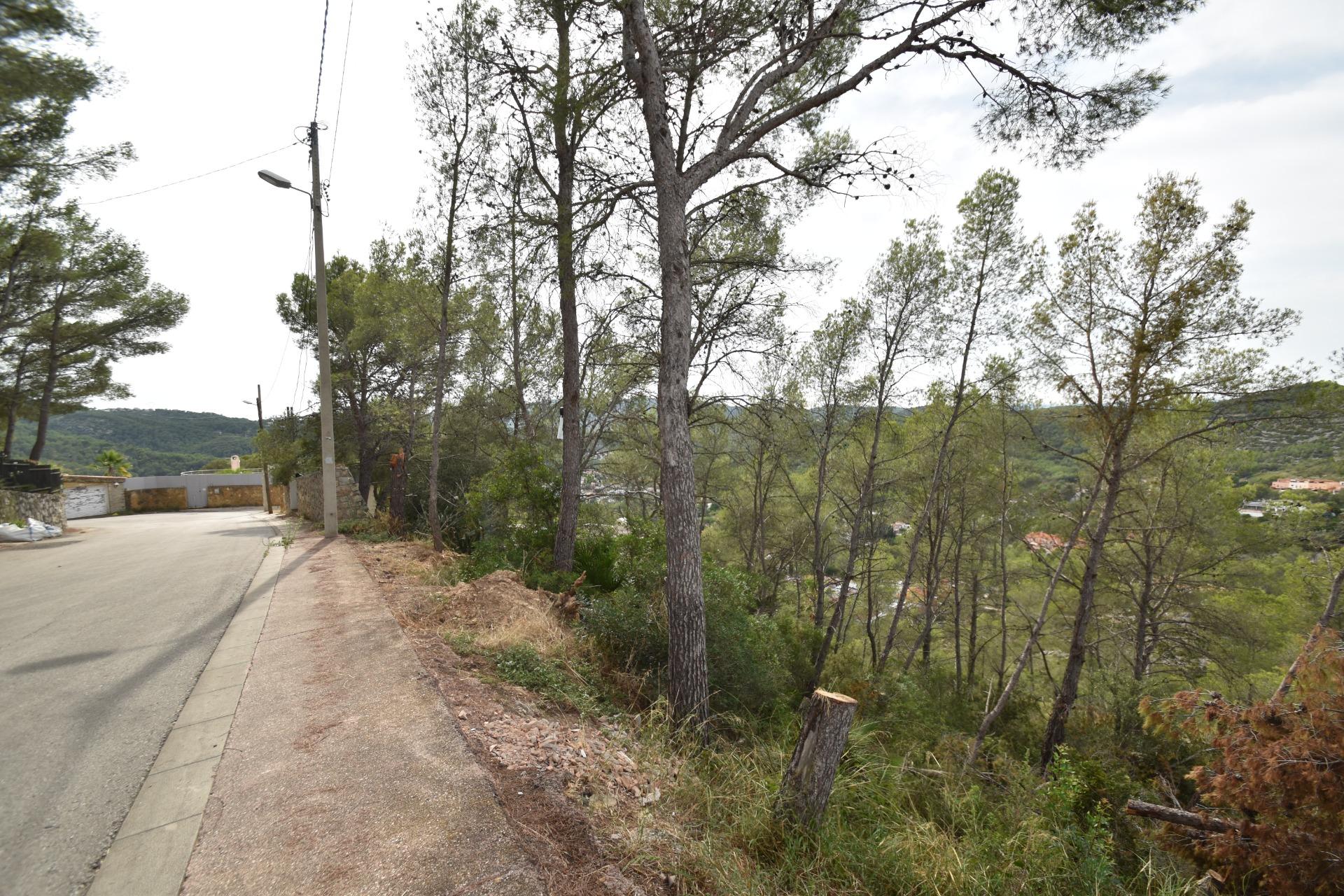 Ref. 03-40408/1098 - Parcela edificable en Mas Mestre ¿Buscas el lugar perfecto para diseñar la casa que siempre has querido?