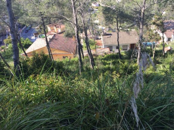 Ref. GV.TUV.CNY.BEE434547/12528 -