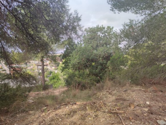 Ref. 005-7125/1086 - RUSTIC LAND FOR SALE IN THE TORRE DEL VEGUER URBANIZATION, MAS PARES DE DALT