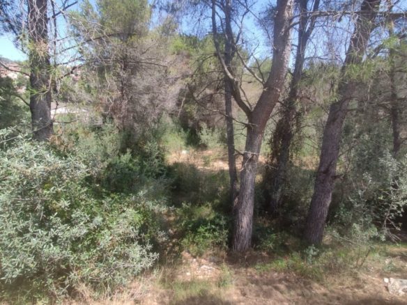 Ref. 05-7031/1086 - Terreny en venda a sòl urbà a Cubelles
