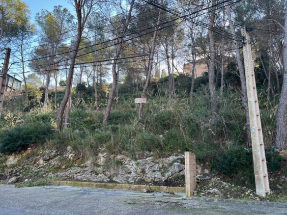 Ref. OLI3067/1553 - Vols invertir o fer-te un habitatge a un preu únic?