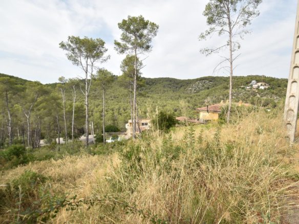 Ref. 03-40408/1098 - Parcela edificable en Mas Mestre ¿Buscas el lugar perfecto para diseñar la casa que siempre has querido?