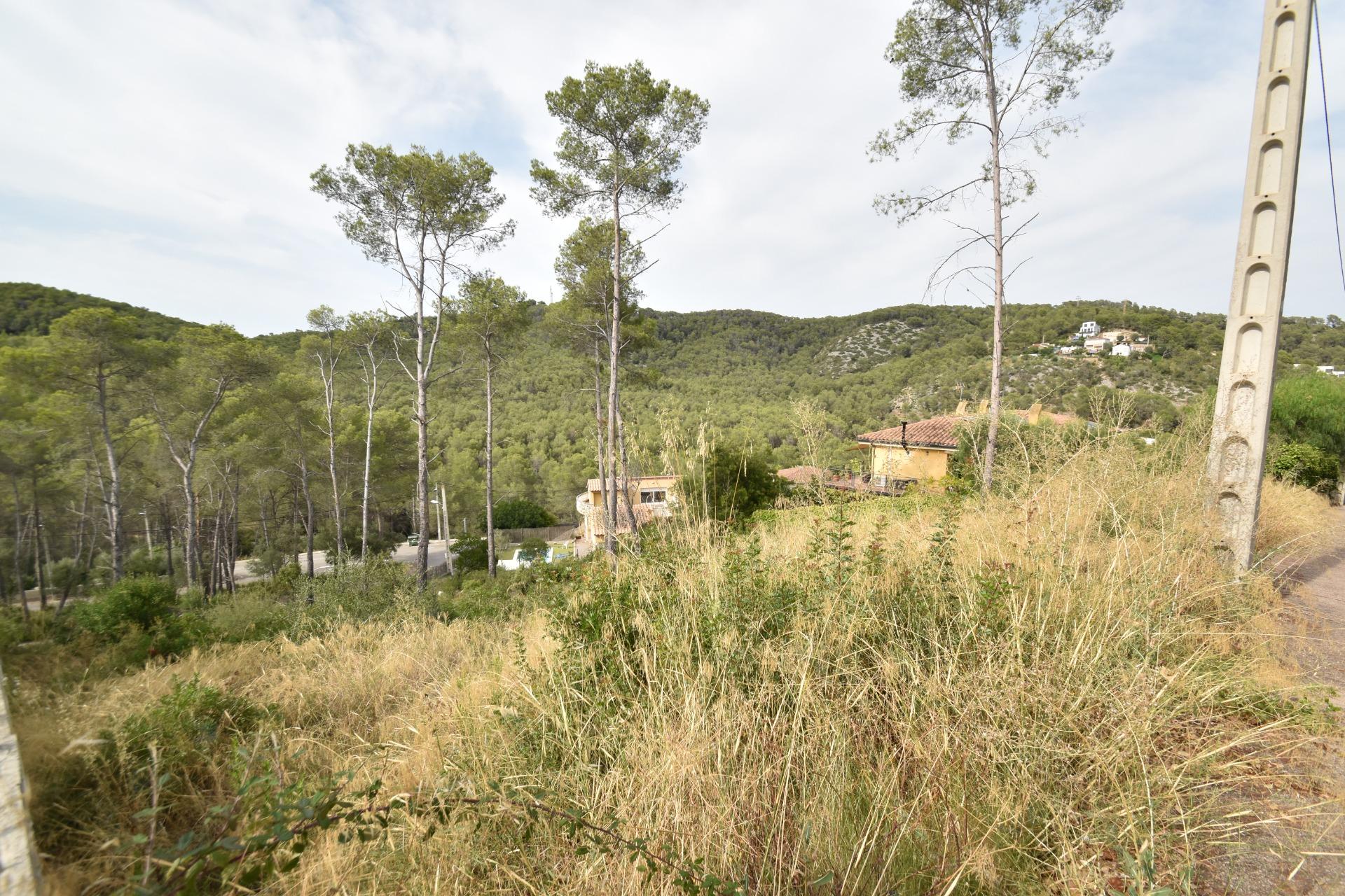 Ref. 03-40408/1098 – Building plot in Mas Mestre. Are you looking for the perfect place to design the house you've always wanted?