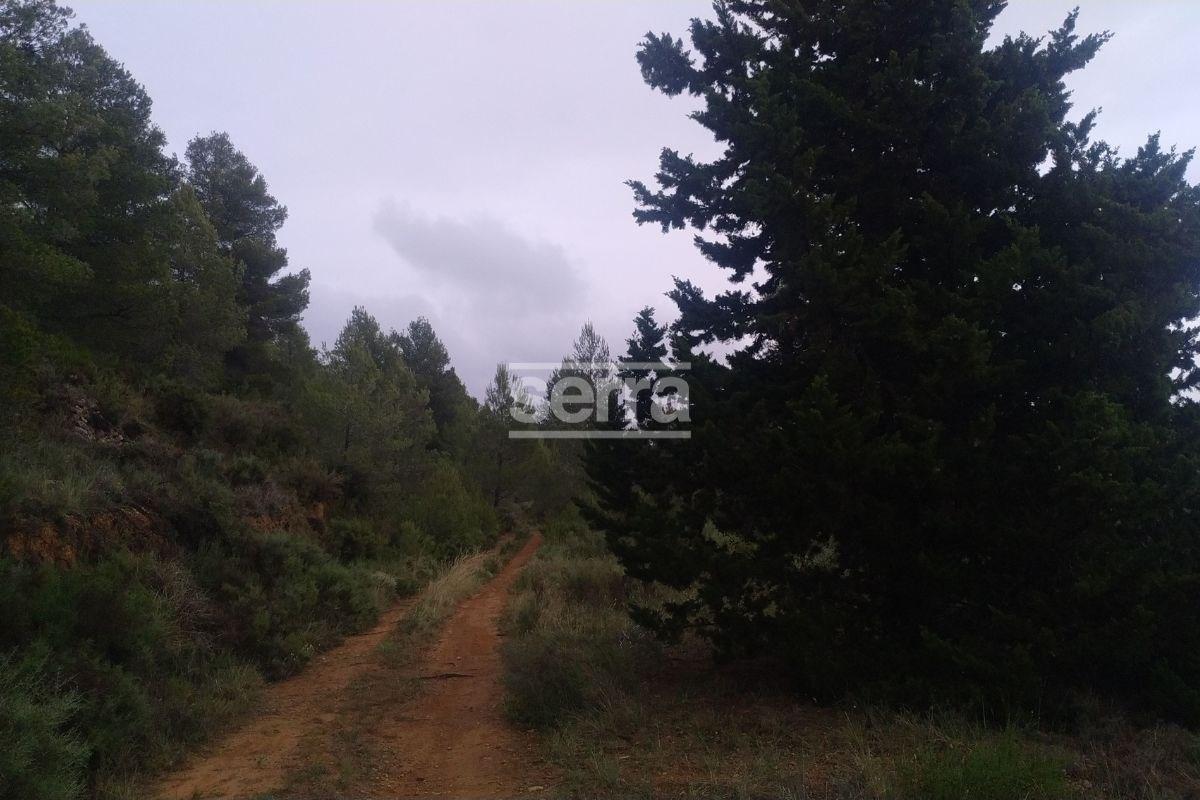 Ref. 5606 – TORRELLES DE FOIX – Finca de 80.000 m2 para montar un camping, una hipica o para usos educativos