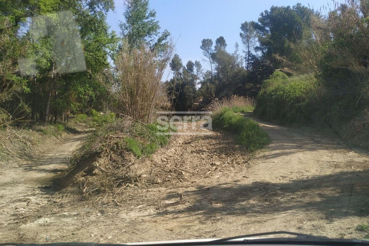 Ref. 5254 – SANT MARTI SARROCA- Viña en venda