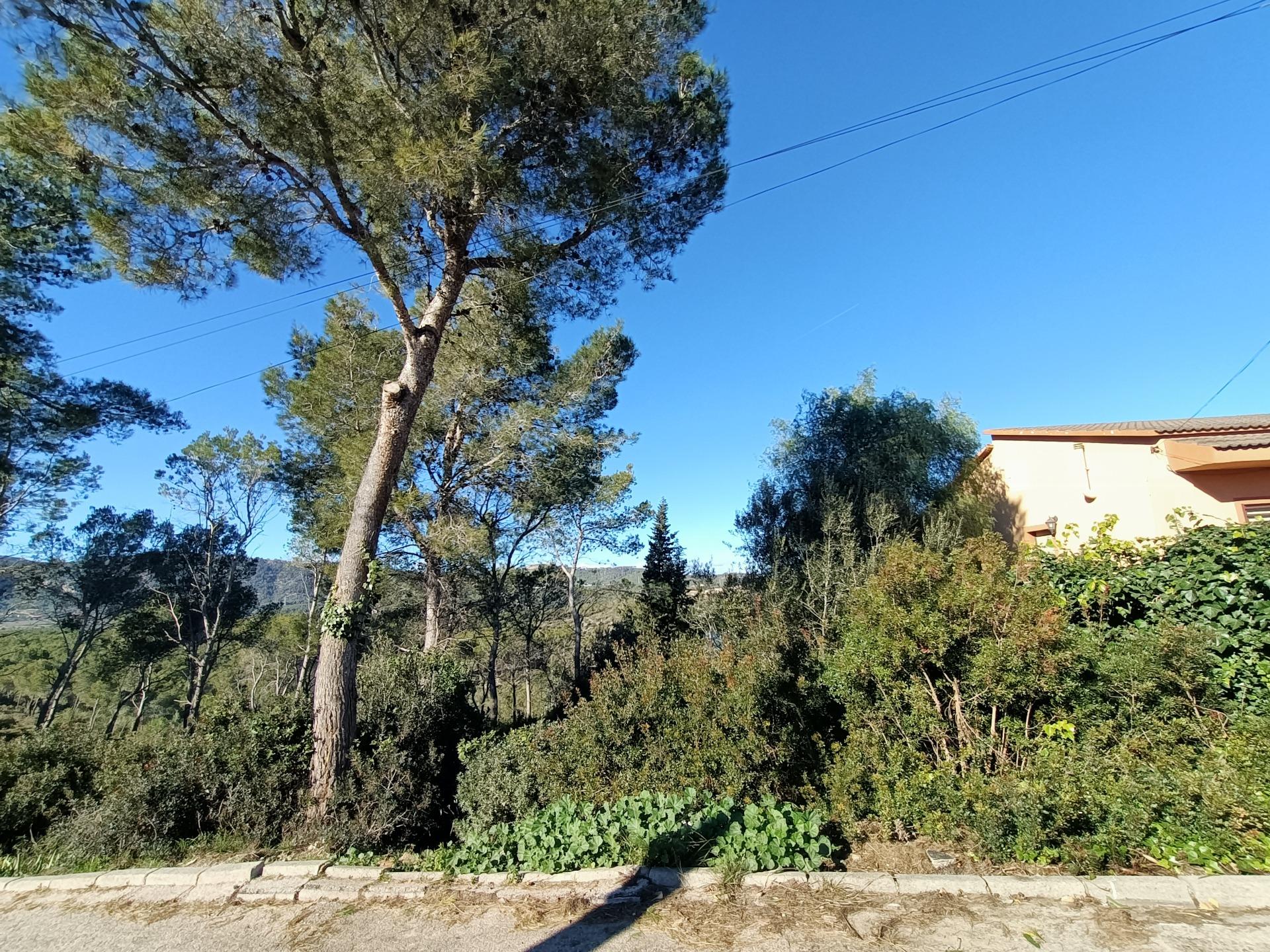 Ref. 24-7127/1296 – ¡En altura, entorno natural y vistas!