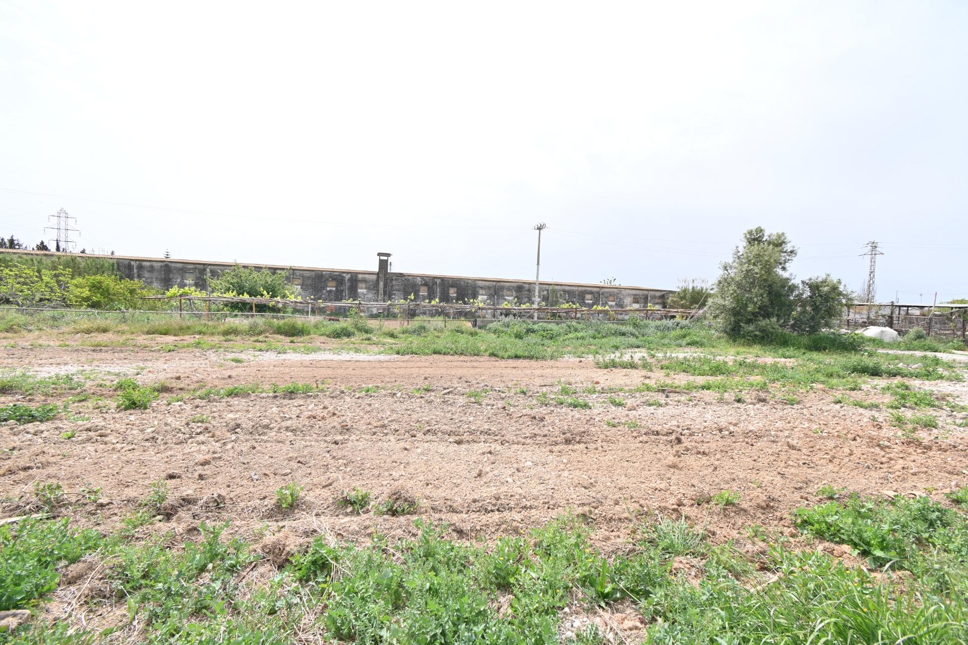 Ref. 81-PONT-0130/7704 – 3 FINCAS RÚSTICAS COLINDANTES ZONA NORD