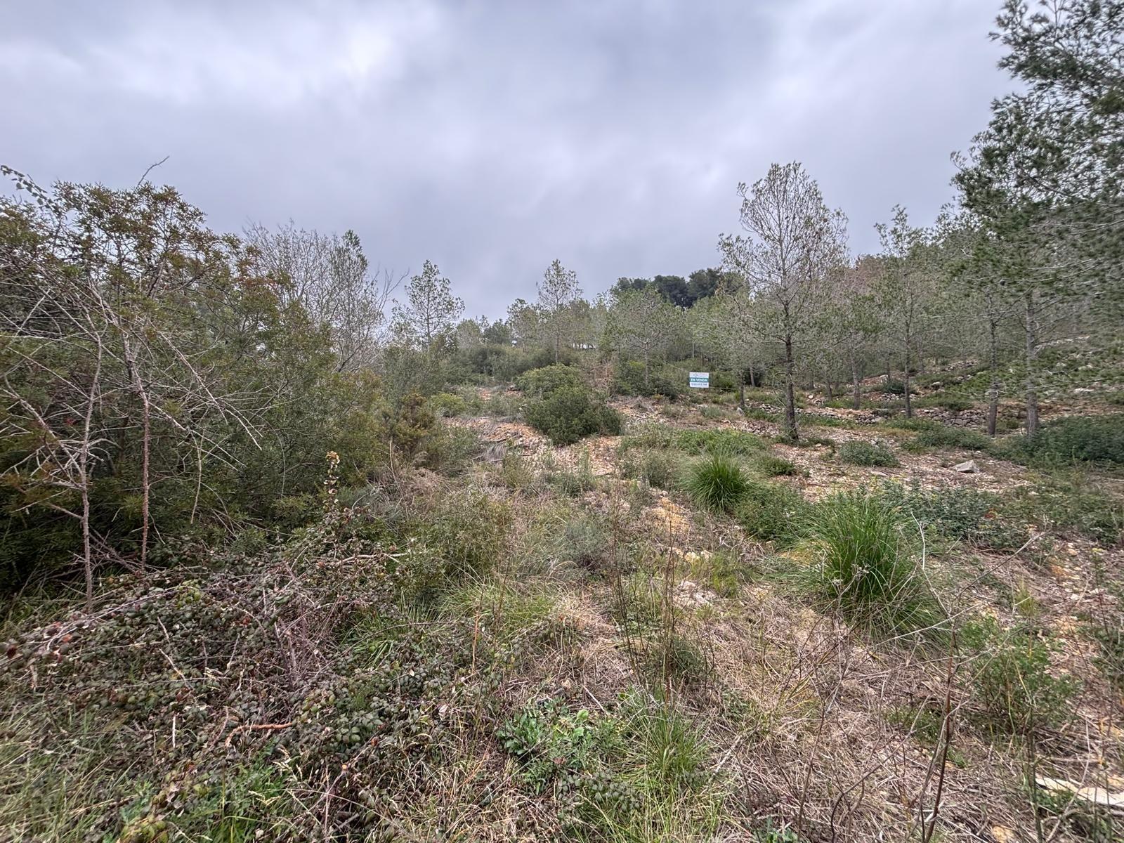 1600