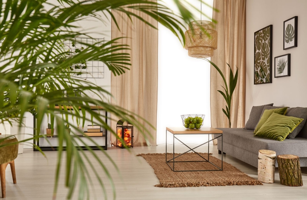 where to find ideas to decorate your home