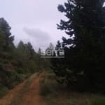 Ref. 5606 - TORRELLES DE FOIX - Finca de 80.000 m2 per muntar un càmping, una hipica o per a usos educatius