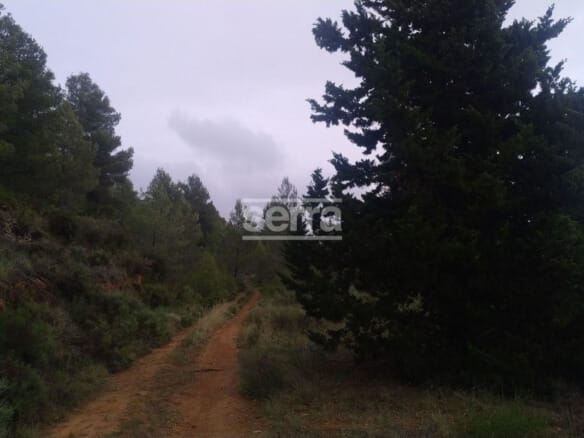 Ref. 5606 - TORRELLES DE FOIX - Finca de 80.000 m2 para montar un camping, una hipica o para usos educativos