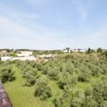 Ref. 03-11654/1098 - Olive farm with house for sale, next to the town centre