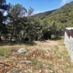 Ref. 24-7087/1296 - Unique opportunity in the area!