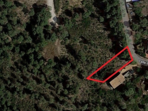 Ref. 7-ALSV0044/1088 - Parcela en Canyelles (Les Palmeres)