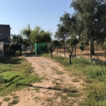 Ref. 11-6363/1119 - UNIQUE PROPERTY.