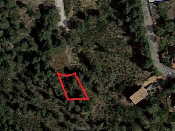 Ref. 7-ALSV0036/1088 - Parcela en Canyelles (Les Palmeres)