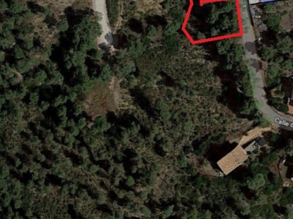 Ref. 7-ALSV0037/1088 - Parcela en Canyelles (Les Palmeres)