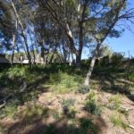 Ref. 12-TOLI56/1087 - TERRENO EN LA URBANIZACIÓN LAS COLINES, OLIVELLA