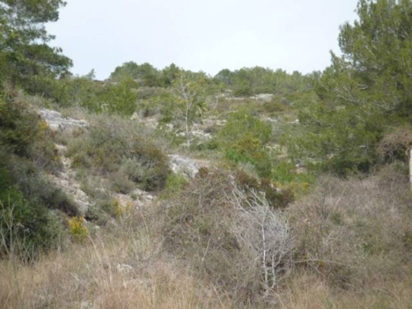 Ref. 03-50048/1098 - Finca rústica en venda
