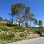 Ref. 12-TOLI64/1087 - TERRENY A MES MESTRE, OLIVELLA