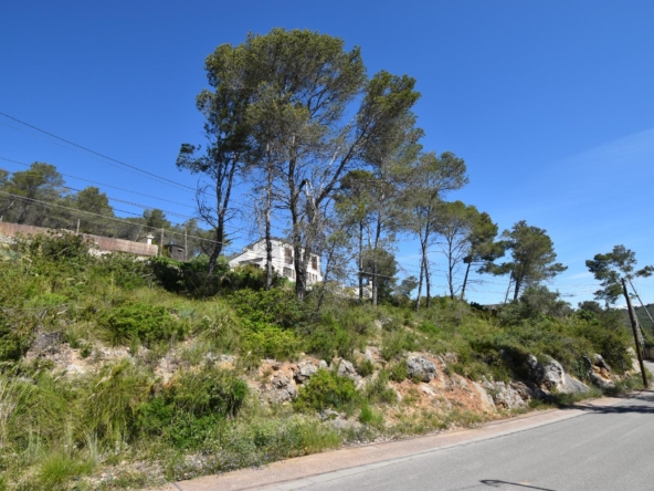 Ref. 12-TOLI64/1087 - LAND IN MAS MESTRE, OLIVELLA