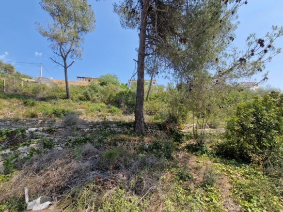 Ref. 12-TOLI02/1087 - TERRENO EN CAN SURIA