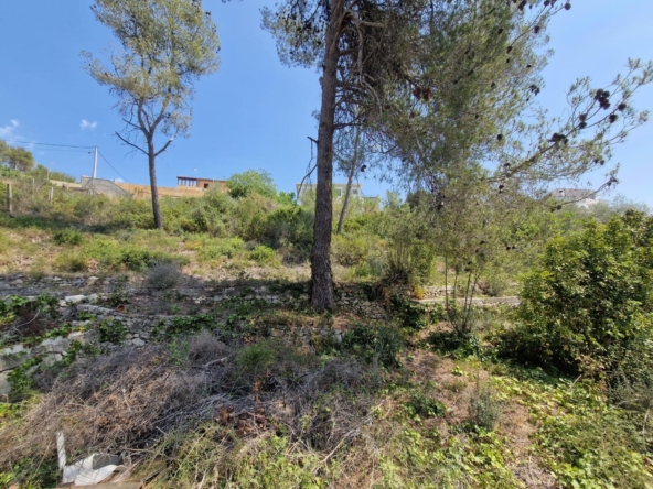 Ref. 12-TOLI02/1087 - LAND IN CAN SURIA