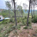 Ref. 18-02601/1266 - En venta 5 parcelas juntas