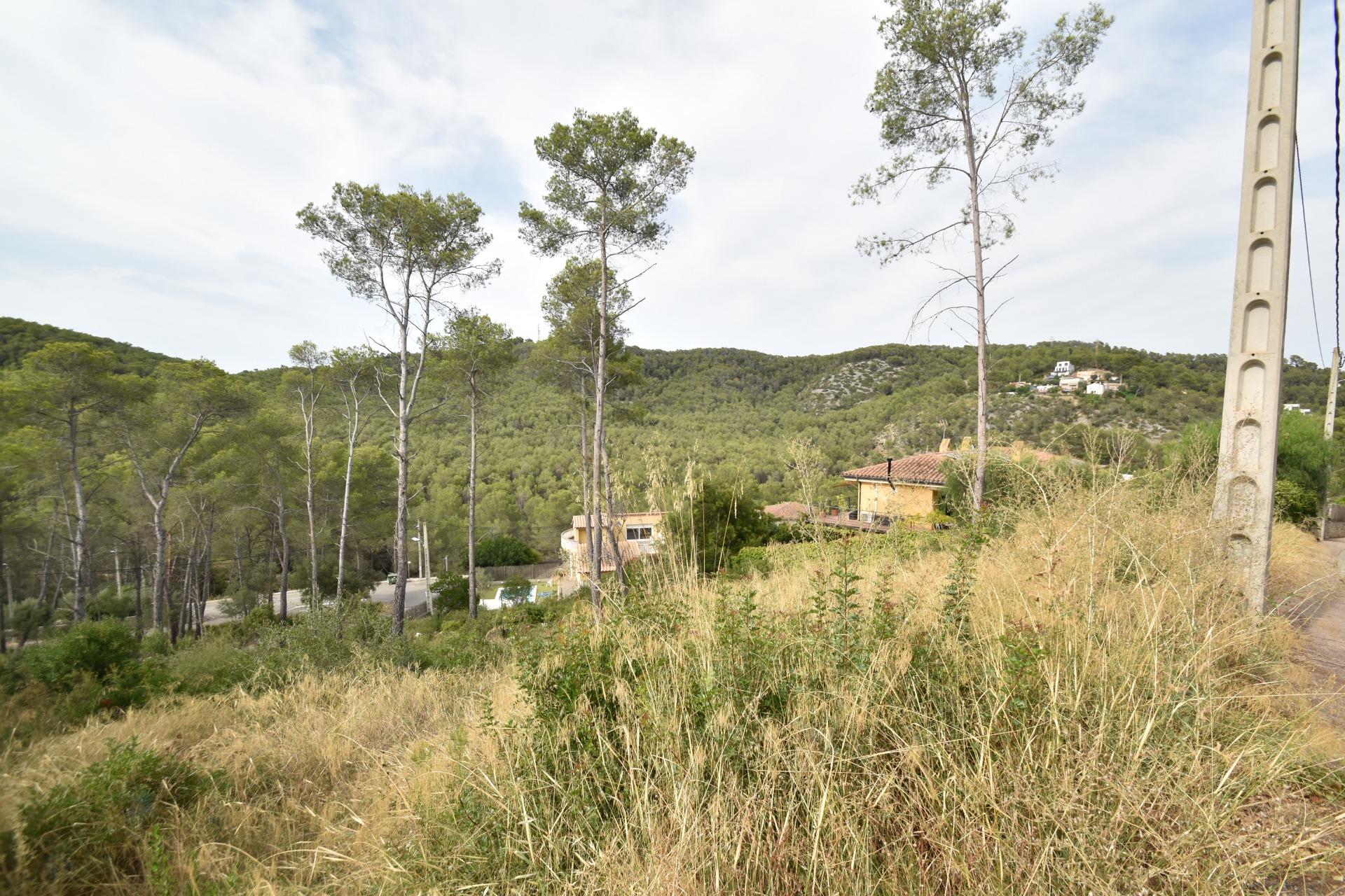 Ref. 03-40407/1098 – ¡EL SOLAR PERFECTO! 760 m² URBANOS EN MAS MESTRE CON VISTAS PRIVILEGIADAS