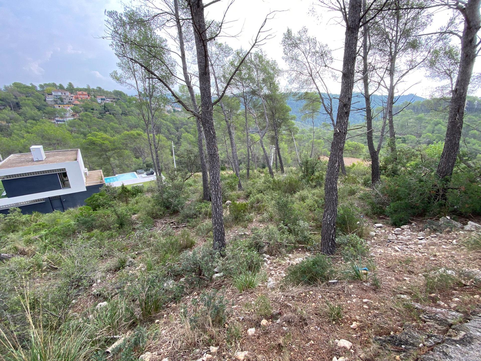 Ref. 18-02601/1266 – En venta 5 parcelas juntas
