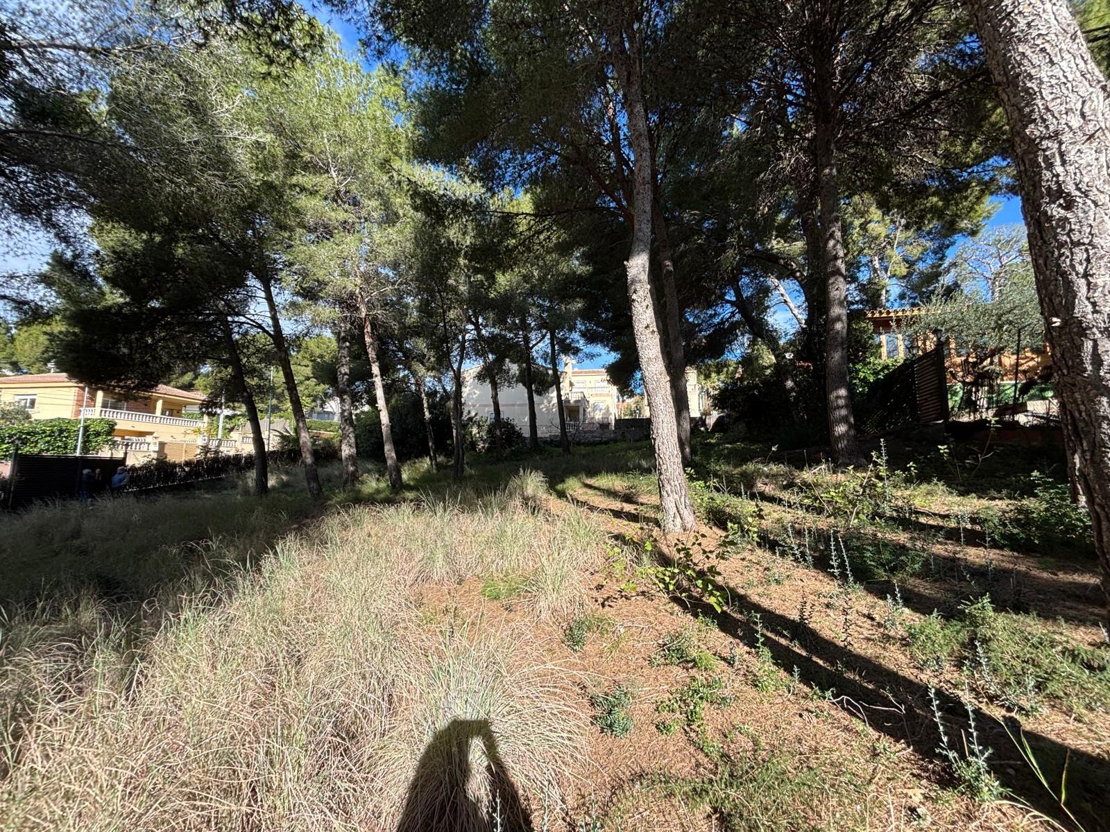 1600